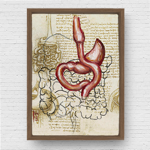 Marco de póster de anatomía: boceto de bypass gástrico del estómago Da vinci 