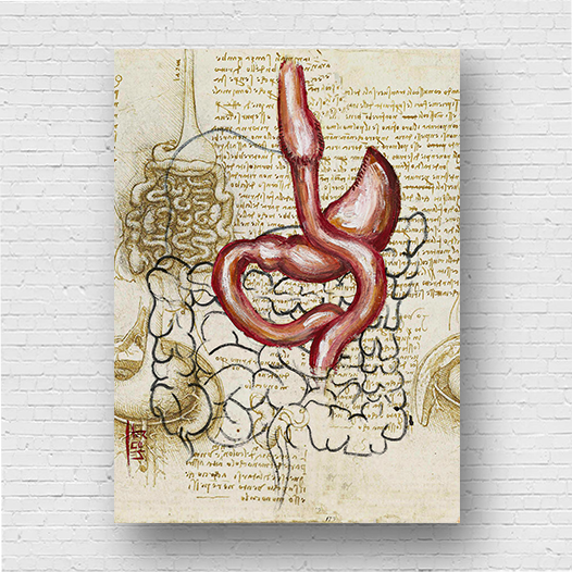 Marco de póster de anatomía: boceto de bypass gástrico del estómago Da vinci 