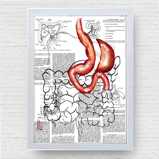 Marco de póster de anatomía: Manga gástrica del estómago 