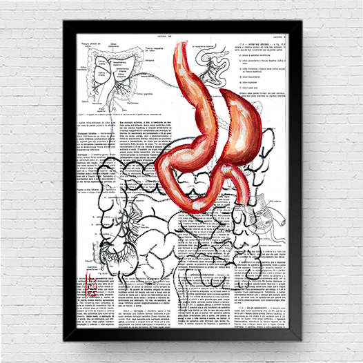 Marco de póster de anatomía: Manga gástrica del estómago 