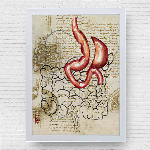 Marco de póster de anatomía: Bosquejo gástrico de la manga del estómago Da vinci 
