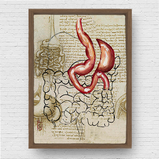 Marco de póster de anatomía: Bosquejo gástrico de la manga del estómago Da vinci 