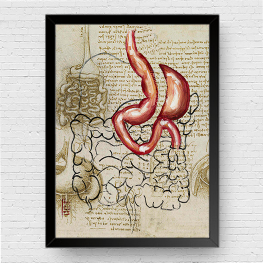 Marco de póster de anatomía: Bosquejo gástrico de la manga del estómago Da vinci 
