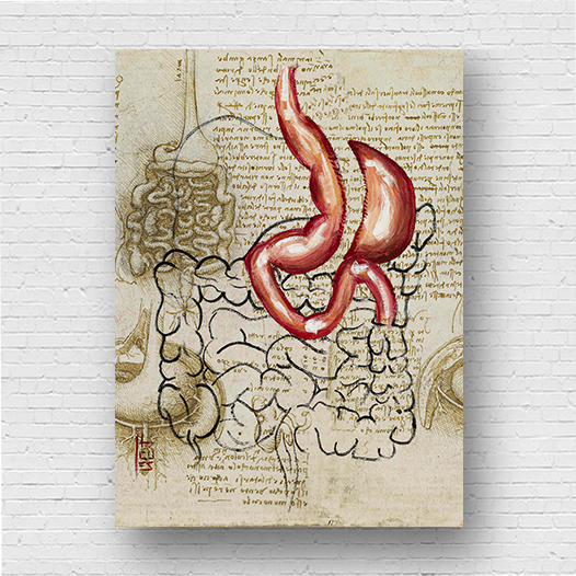Marco de póster de anatomía: Bosquejo gástrico de la manga del estómago Da vinci 
