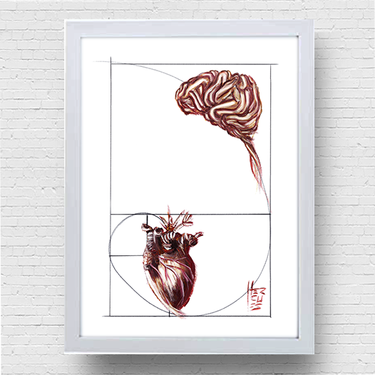 Marco de póster de anatomía: secuencia de Fibonacci de emoción y razón 