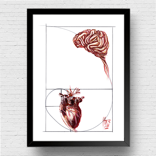 Marco de póster de anatomía: secuencia de Fibonacci de emoción y razón 