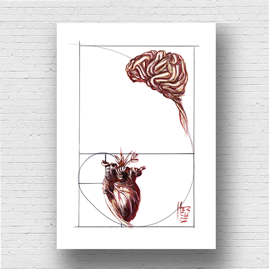 Marco de póster de anatomía: secuencia de Fibonacci de emoción y razón 