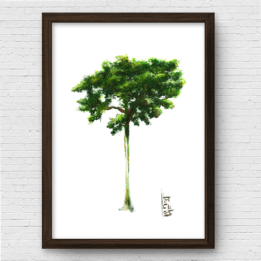 Árbol de Jequitiba Póster 