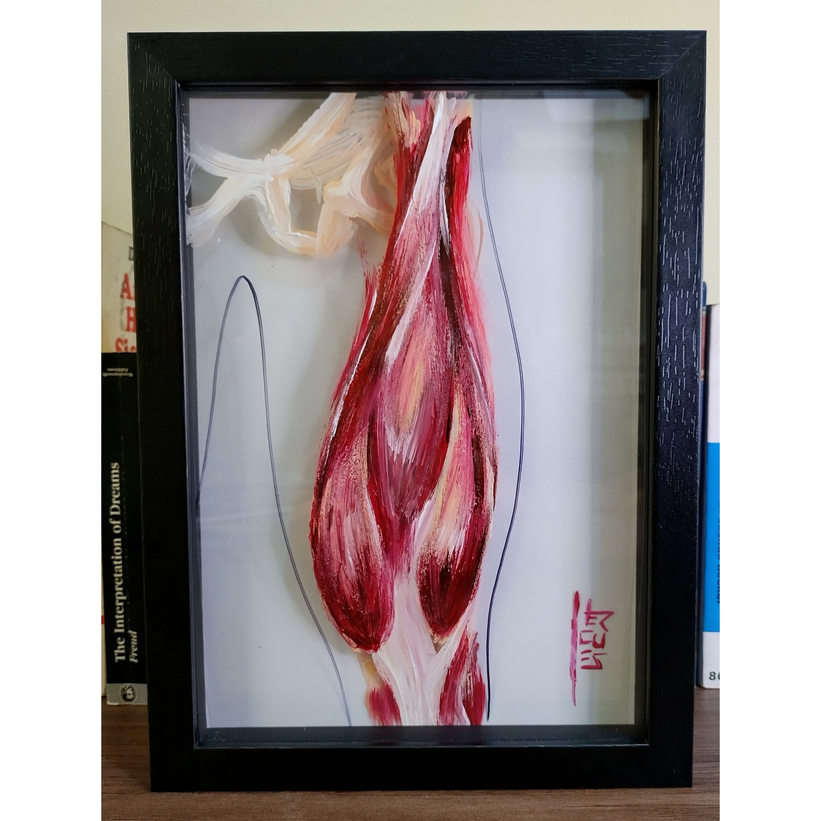 Pintura Anatomía: Músculos del muslo. 