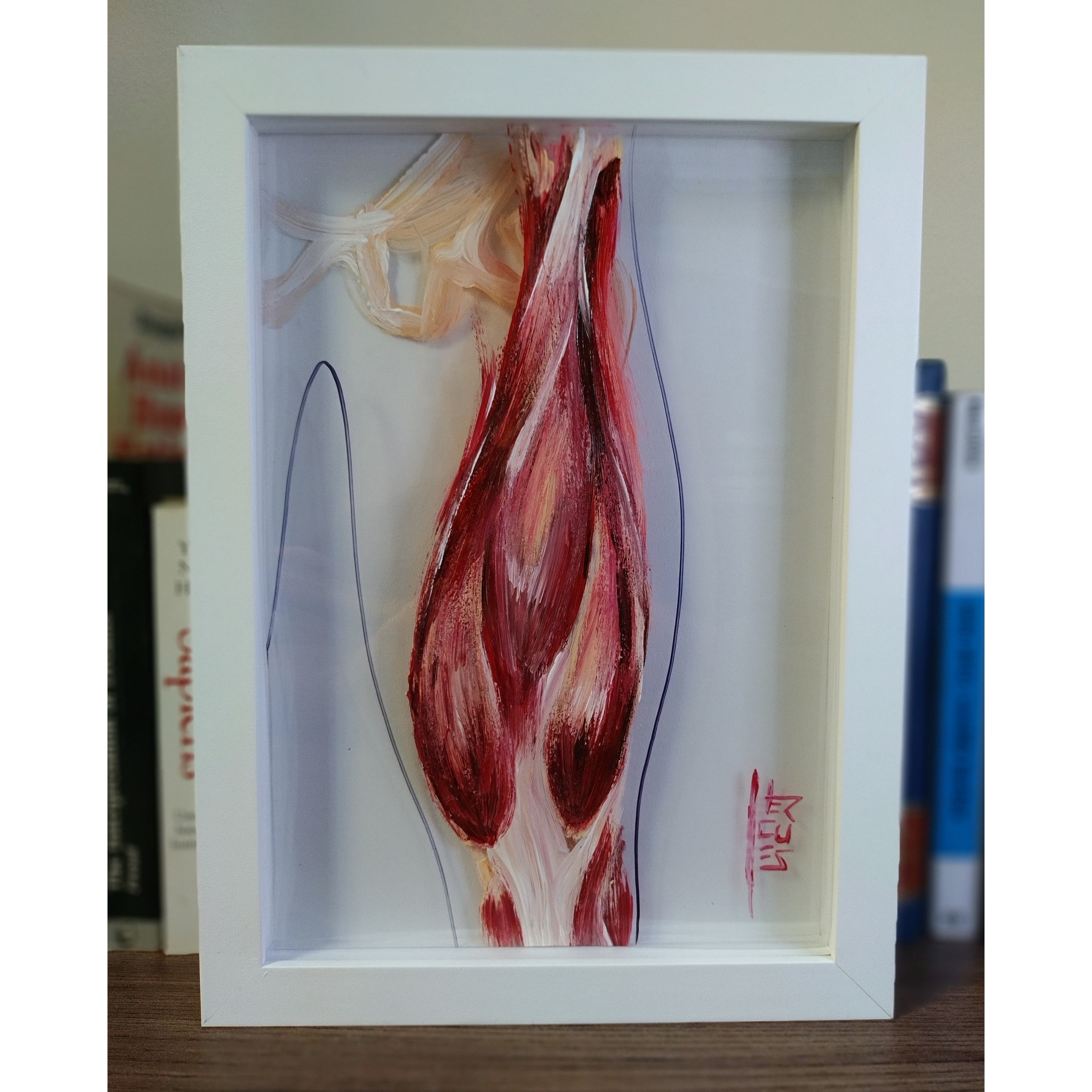 Pintura Anatomía: Músculos del muslo. 