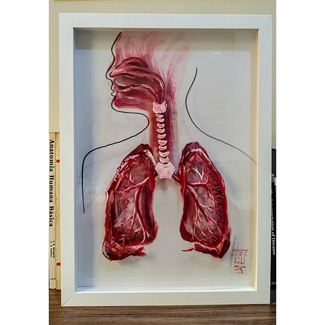 Pintura Anatomía: Sistema respiratorio 