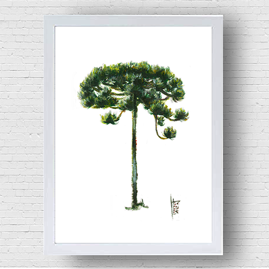 Cadre d'affiche d'arbre d'Araucaria