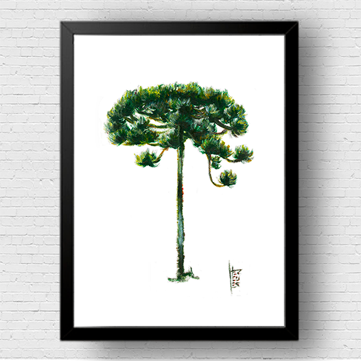 Cadre d'affiche d'arbre d'Araucaria