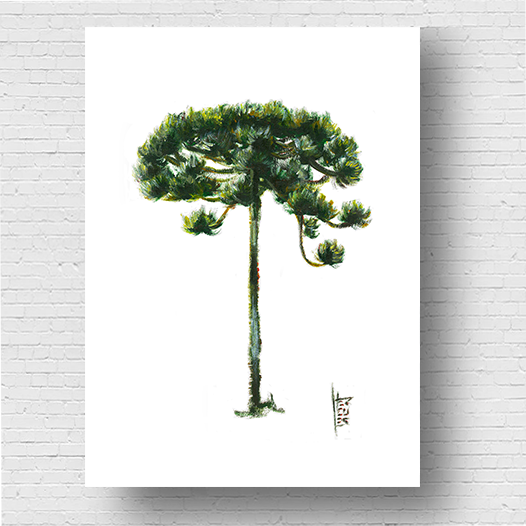 Cadre d'affiche d'arbre d'Araucaria