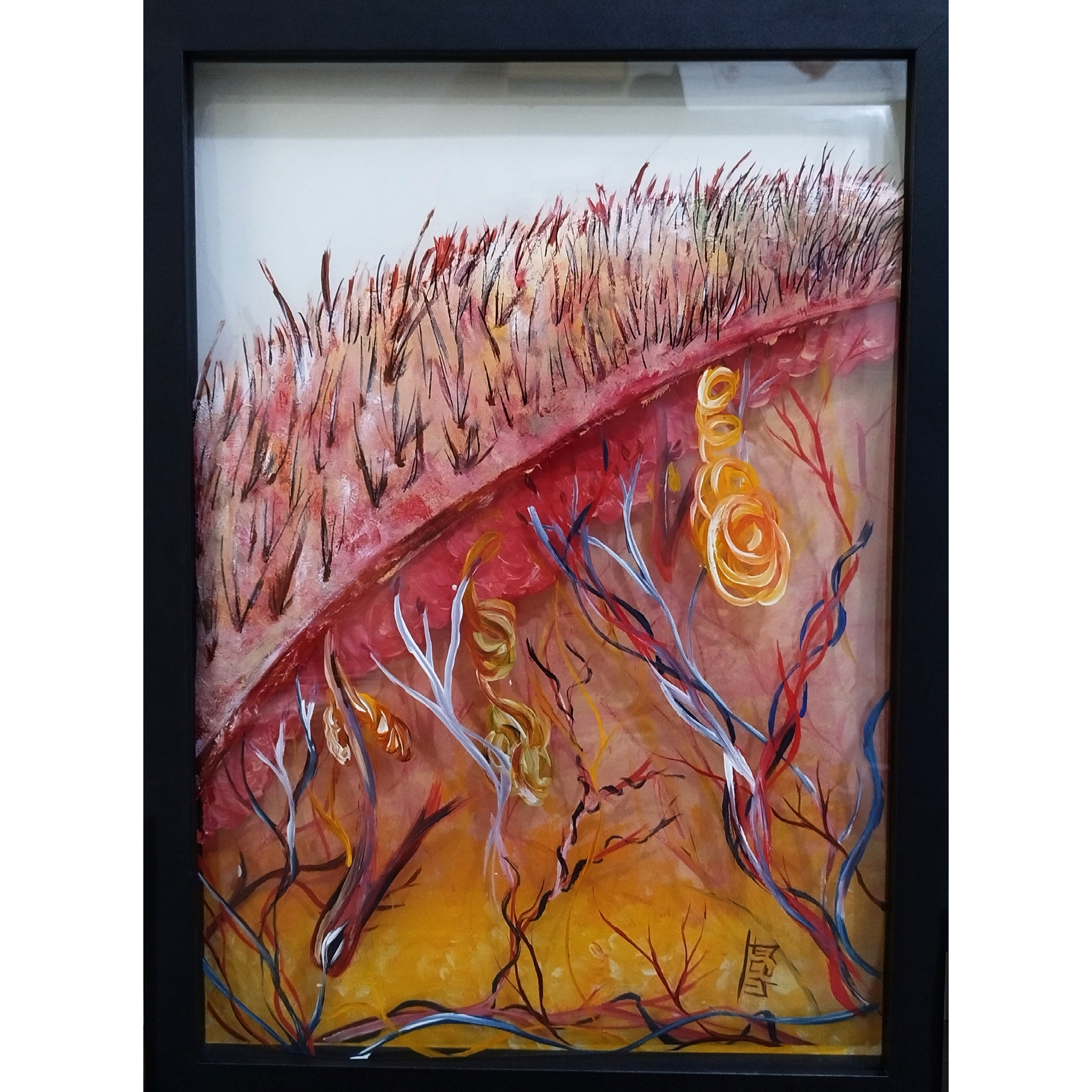Pintura de anatomía: tricología, folículo piloso. 