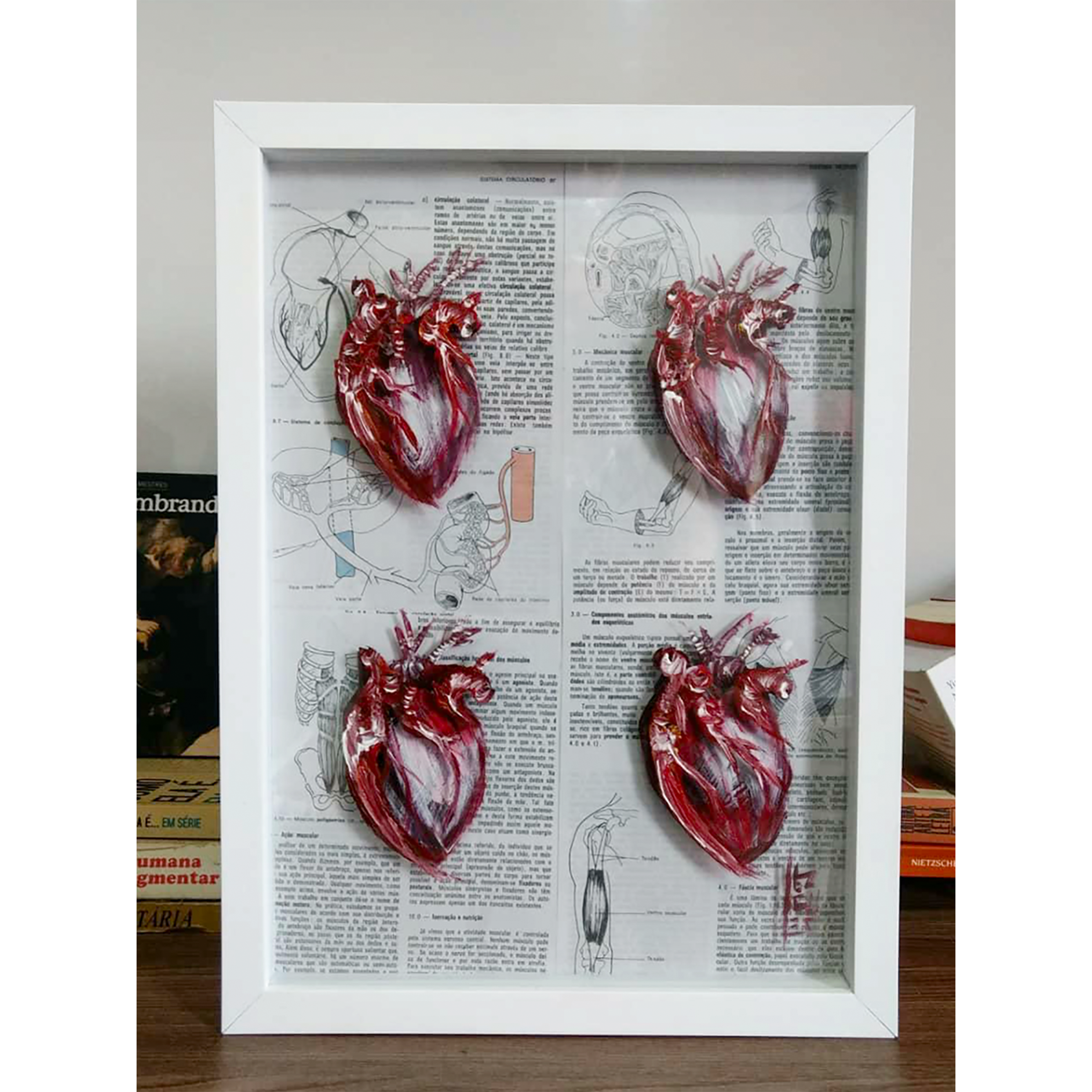 Quadro Decorativo Anatomia – Conjunto de Corações-cardiologia | Pintura Original™