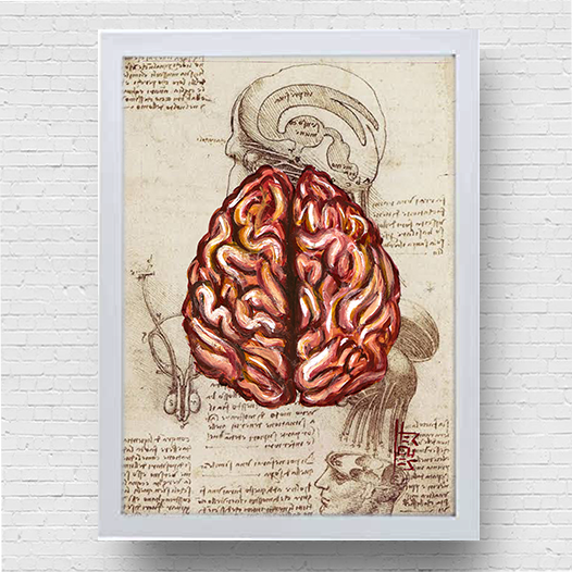 Marco cartel anatomía cerebro fondo boceto Leonardo da Vinci 