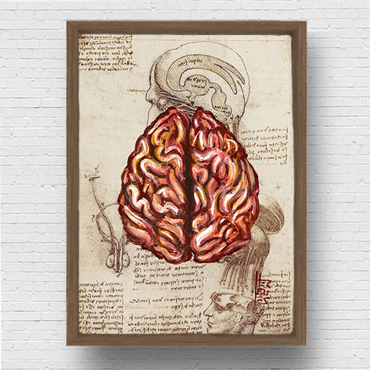 Marco cartel anatomía cerebro fondo boceto Leonardo da Vinci 