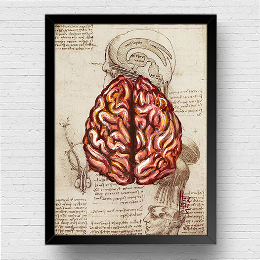 Marco cartel anatomía cerebro fondo boceto Leonardo da Vinci 
