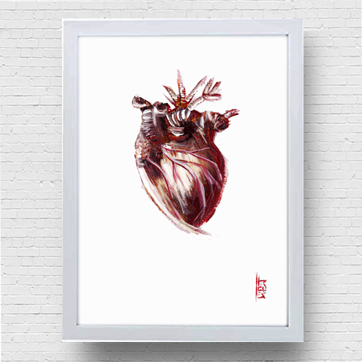 Póster marco anatomía corazón fondo blanco. 