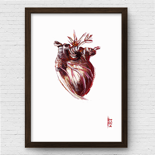 Póster marco anatomía corazón fondo blanco. 