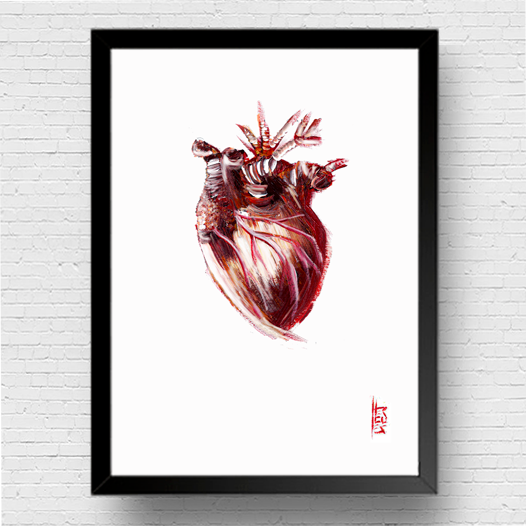 Póster marco anatomía corazón fondo blanco. 