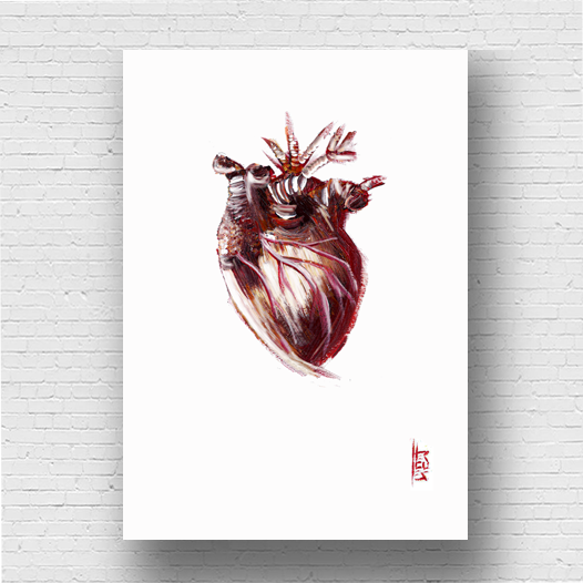 Póster marco anatomía corazón fondo blanco. 