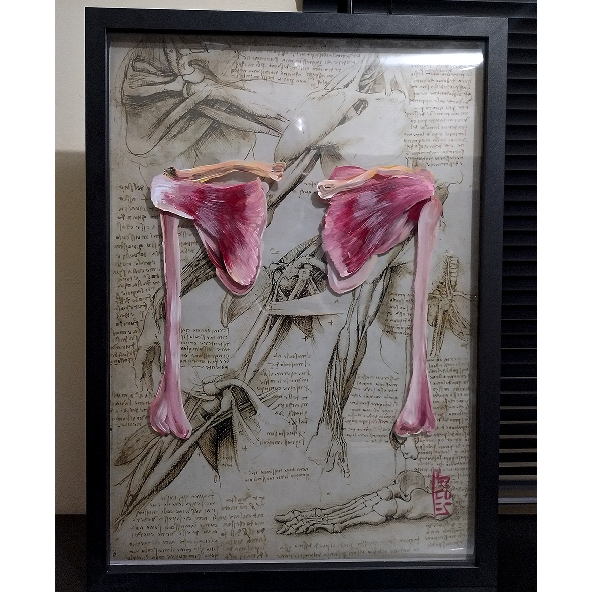 Pintura Anatomia: Músculos ombro anterior e posterior coleção Da Vinci