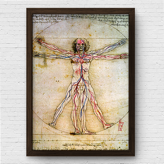 Quadro pôster anatomia Homem vitruviano com sistema circulatório Leonardo da Vinci