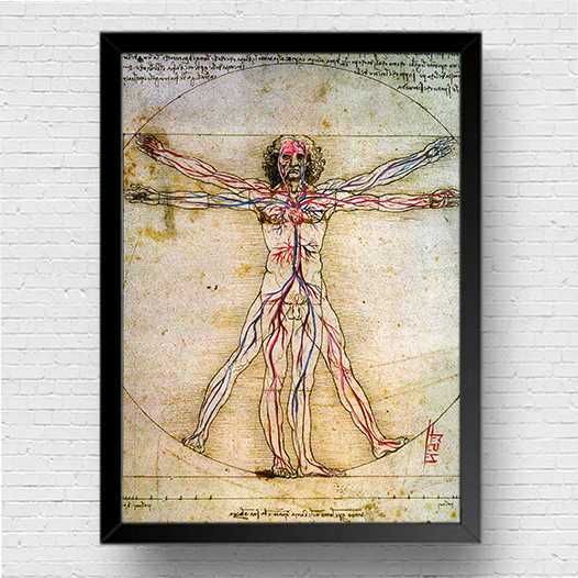 Quadro pôster anatomia Homem vitruviano com sistema circulatório Leonardo da Vinci
