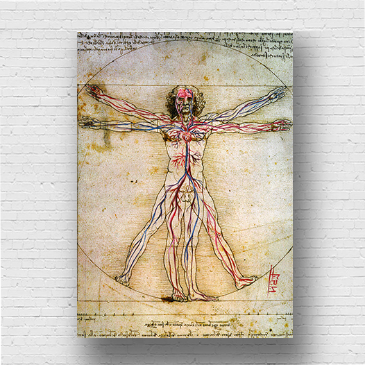 Quadro pôster anatomia Homem vitruviano com sistema circulatório Leonardo da Vinci