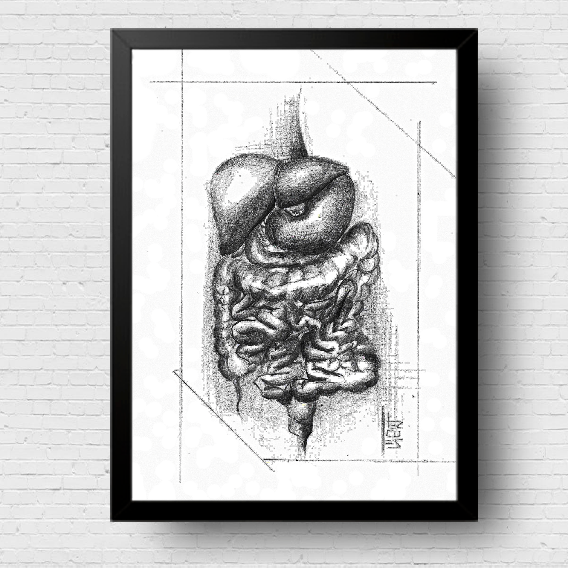 Cadre affiche graphite noir et blanc système digestif