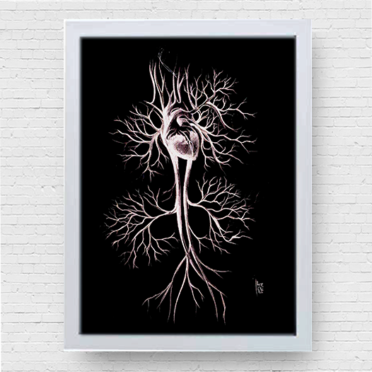 Affiche d'anatomie du système circulatoire en noir et blanc fond noir N&amp;B 