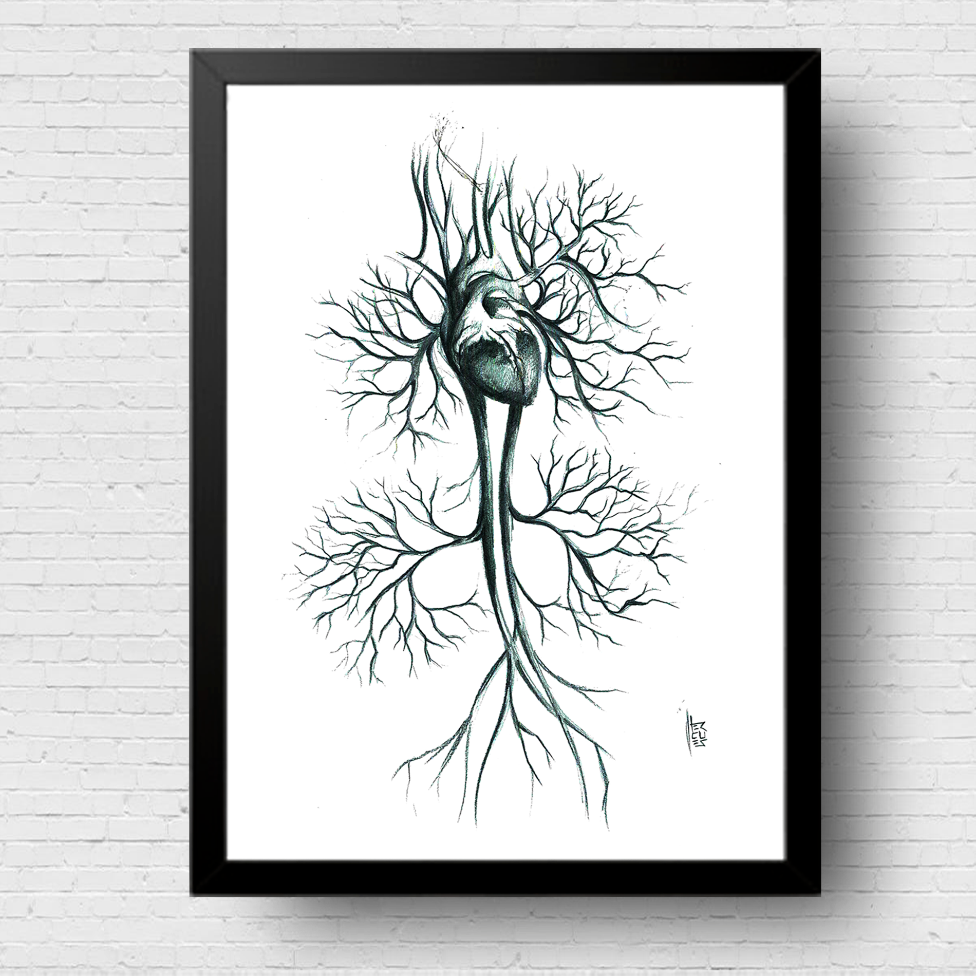 Affiche d'anatomie : Système circulatoire en noir et blanc graphite