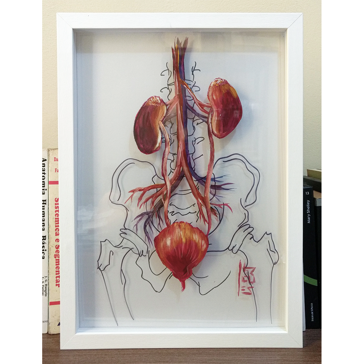 Cuadro Anatomía: Pintura original Vías urinarias con estructura ósea. 